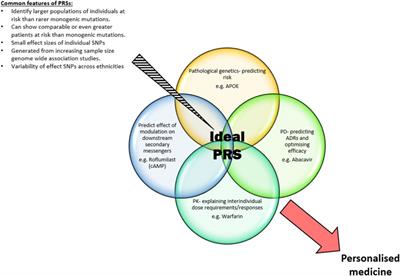 Polygenic risk scores: An overview from bench to bedside for personalised medicine